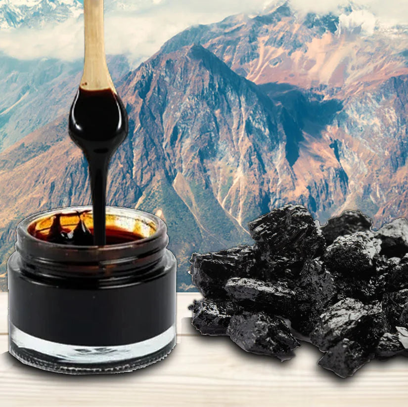Shilajit Pro Gold 20gm