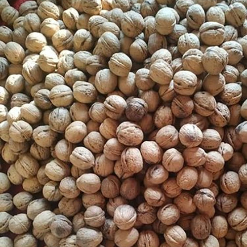 Kashmiri Walnuts With Sell