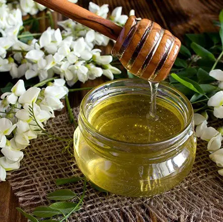 Acacia Honey