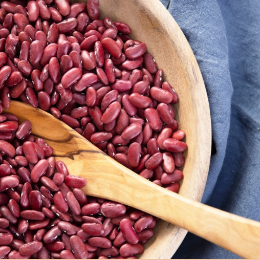 SPL Bhaderwahi Rajmash