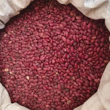 SPL Bhaderwahi Rajmash